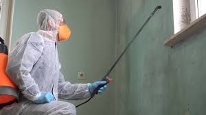 Mold Remediation for Rental Properties