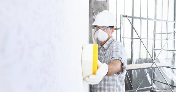 Professional Mold Removal in Union City, GA